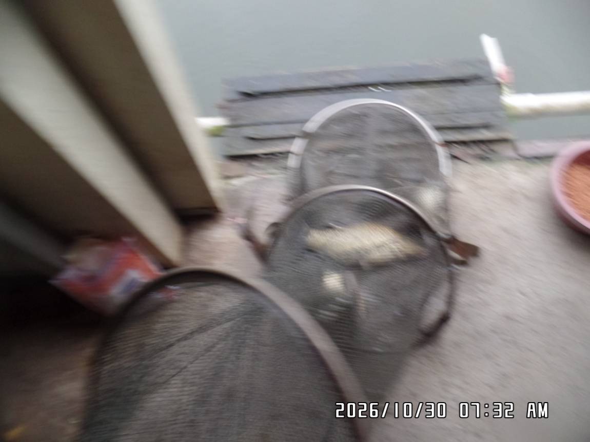 SAM_1246.JPG