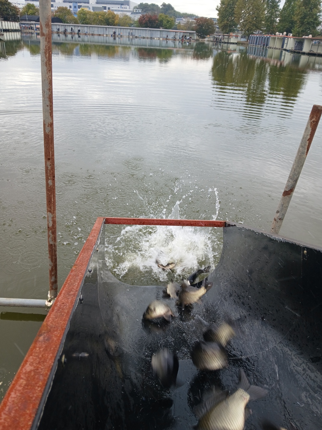KakaoTalk_20261030_160016075_06.jpg
