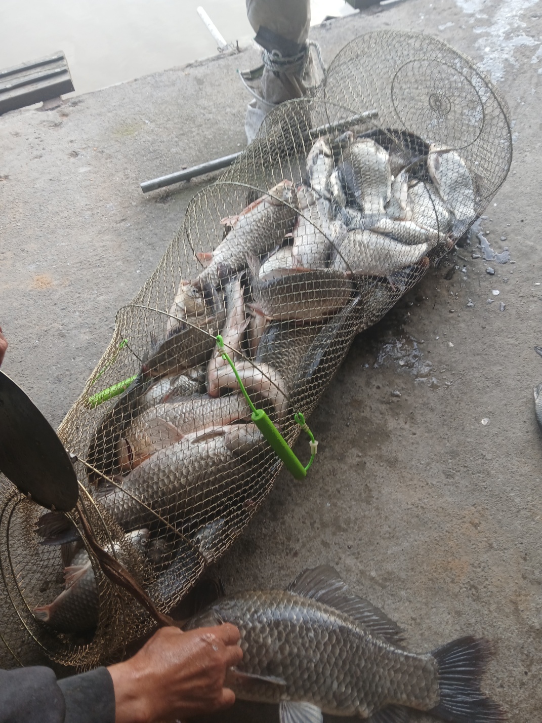 KakaoTalk_20261030_161413839_01.jpg