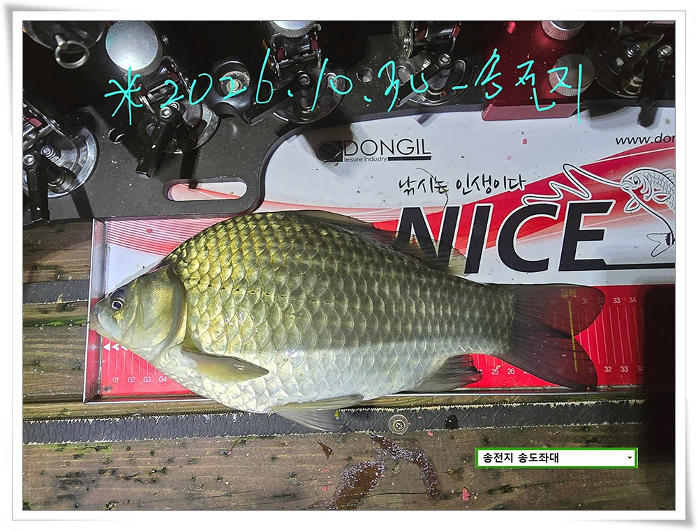 IMG_5752_1.jpg