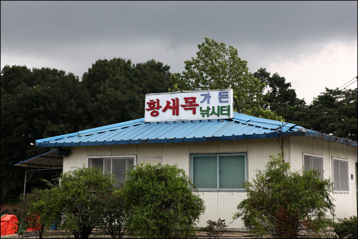노아주 > 포천 황새목낚시터의 대박어망 구경하기/노아주의 낚시여행/낚시세상 : 낚시사랑