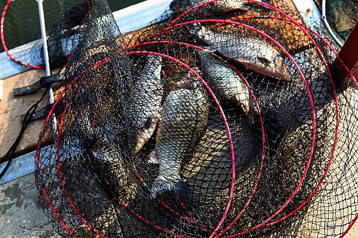 ���� 002.jpg