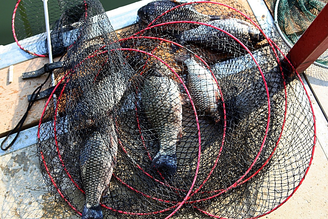 ���� 003.jpg