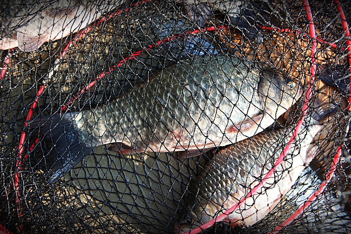 ���� 004.jpg