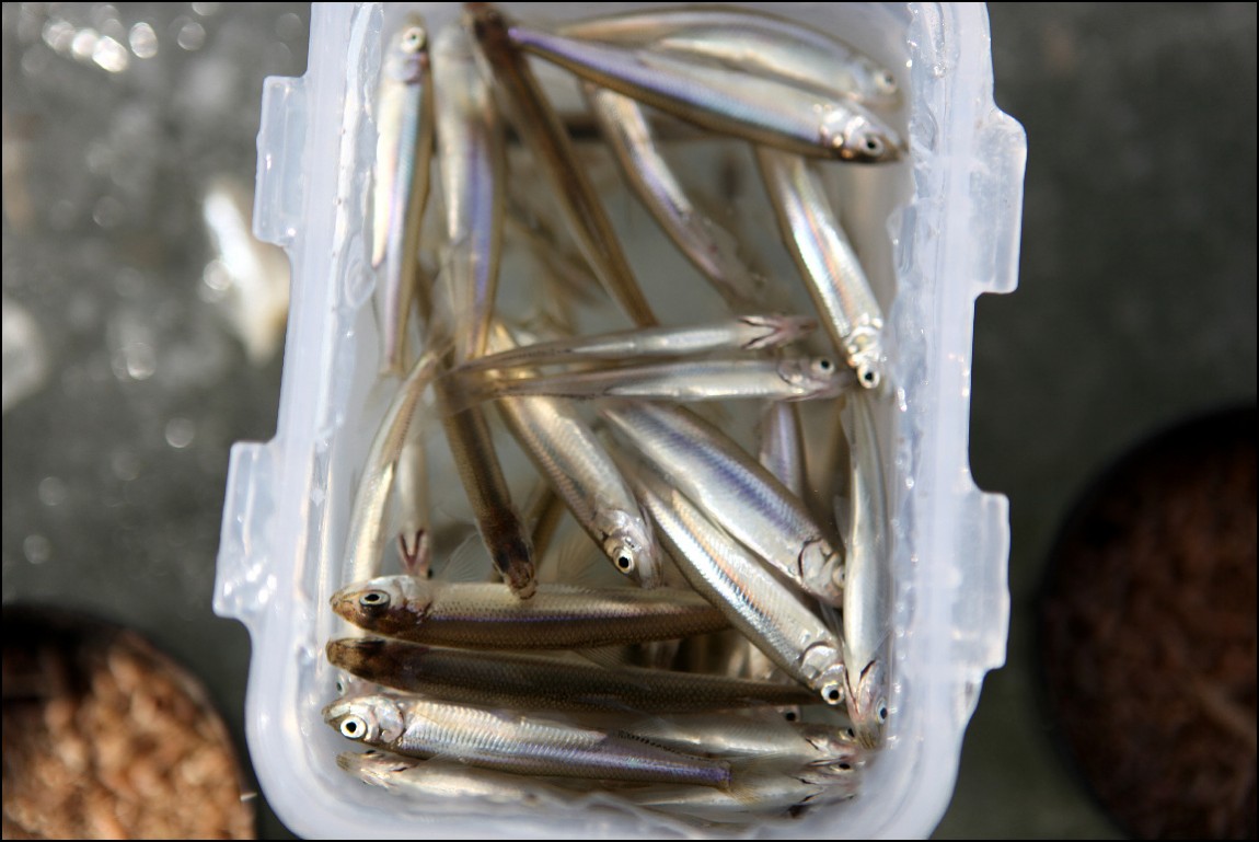 ���� 142.jpg