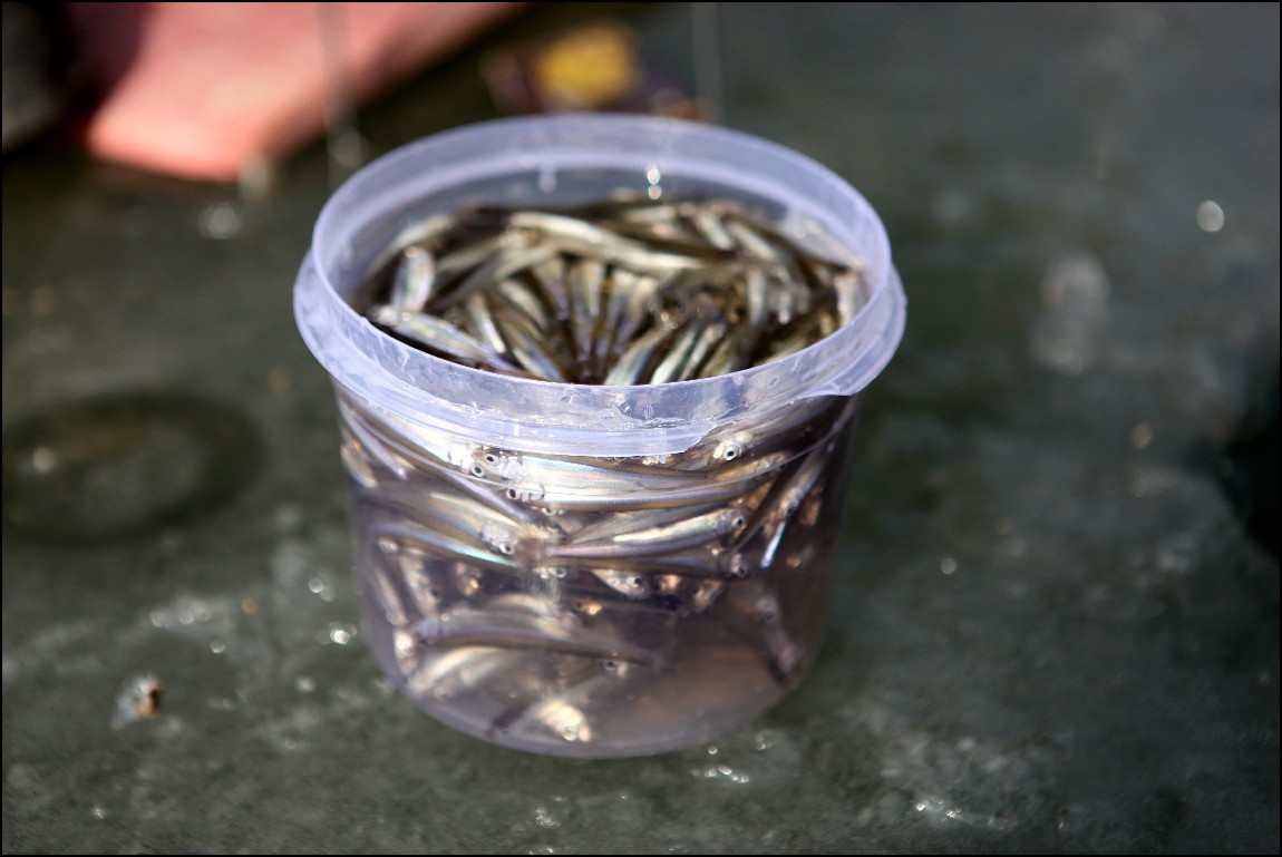 ���� 167.jpg