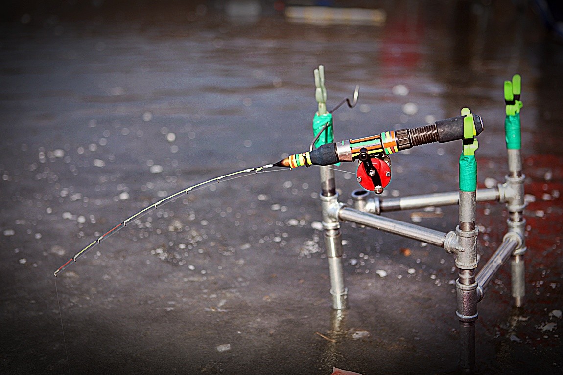 ���� 173.jpg