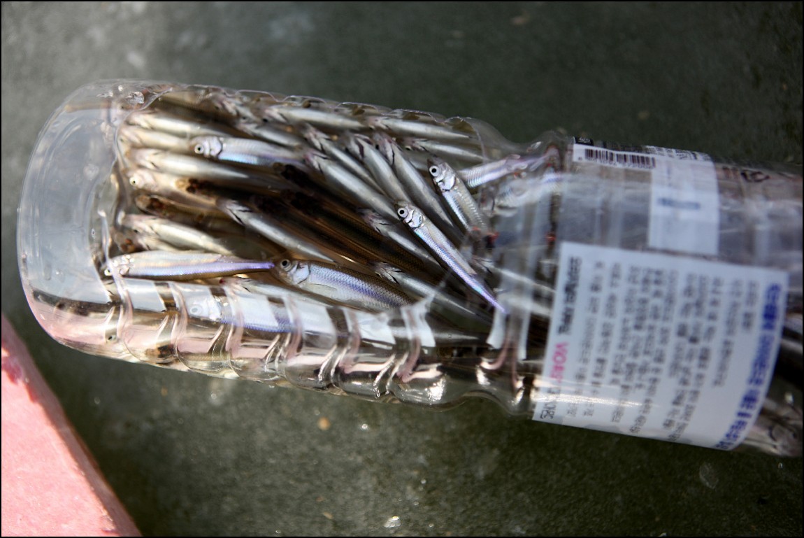 ���� 172.jpg