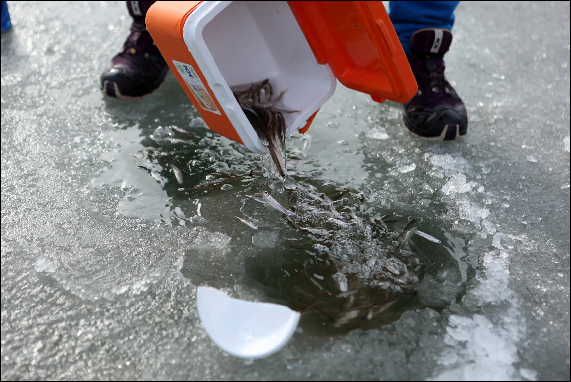 ���� 200.jpg