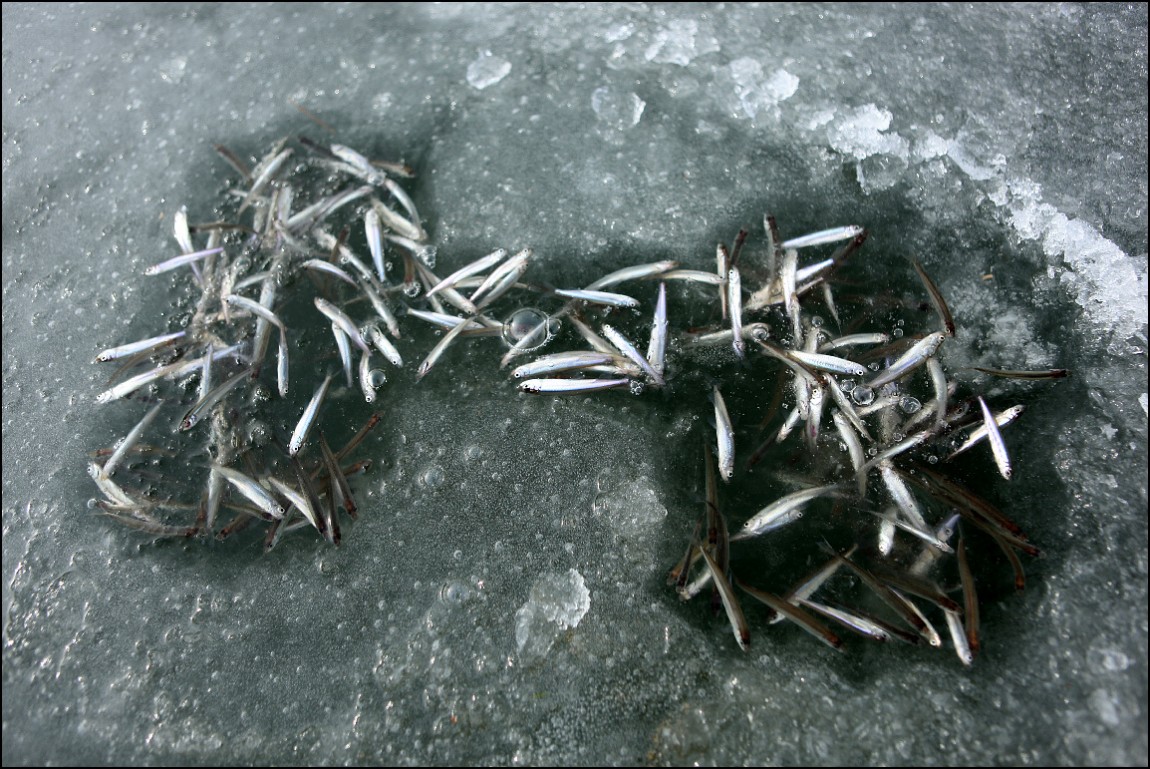 ���� 201.jpg