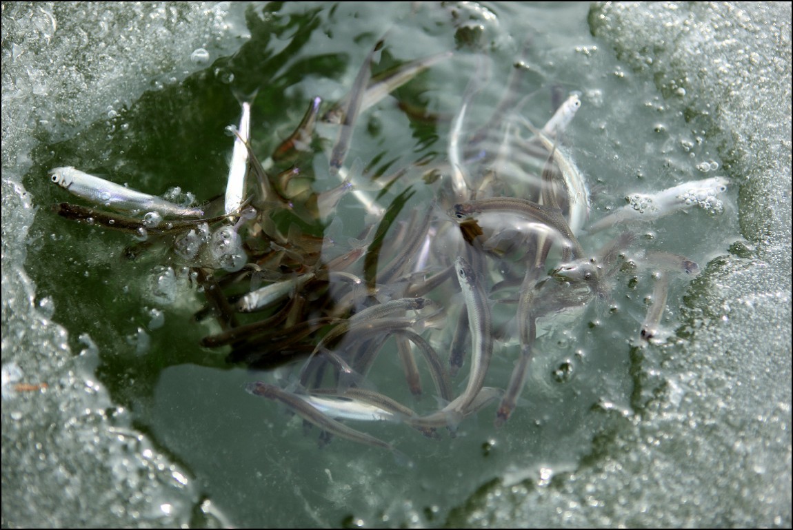 ���� 202.jpg