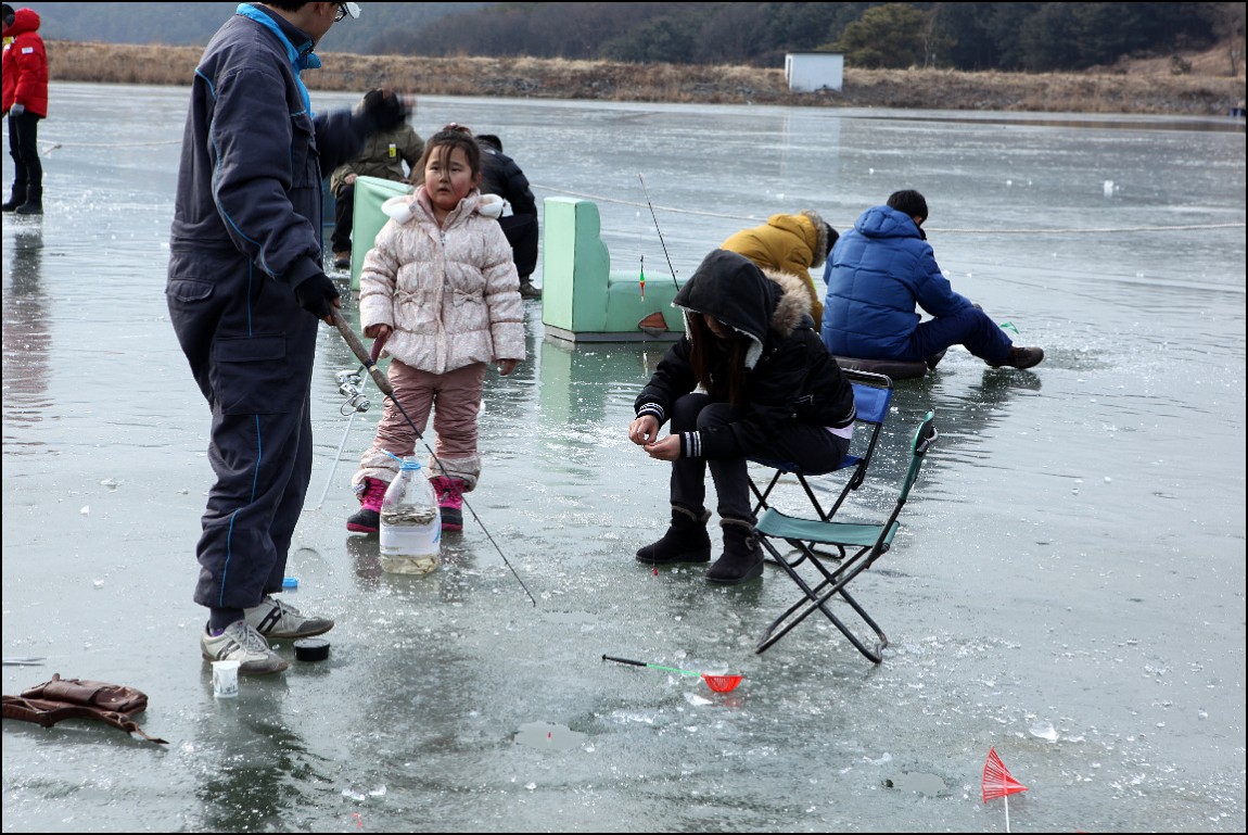 ���� 206.jpg