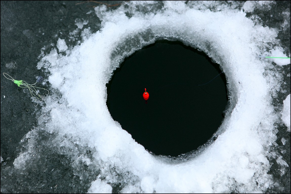 ���� 219.jpg