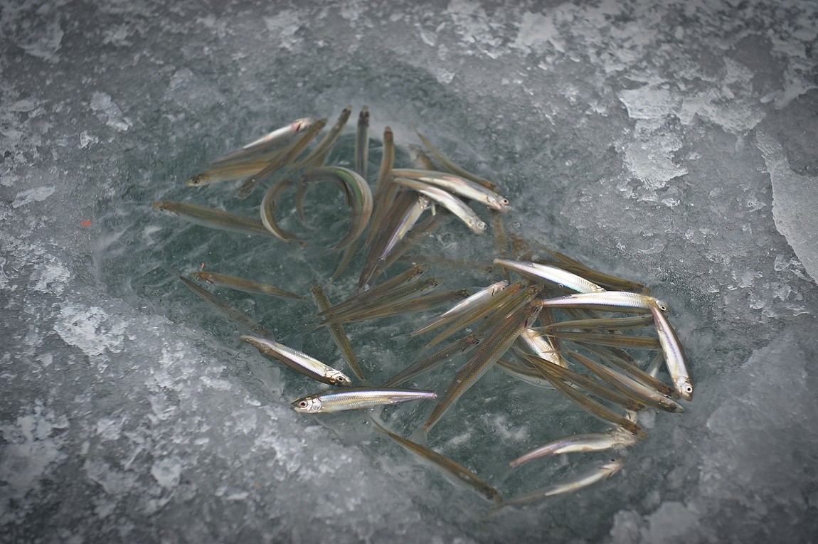 5.JPG