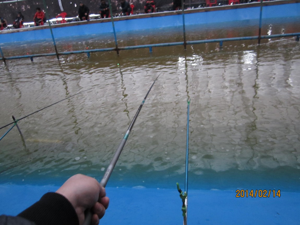 IMG_7853.JPG