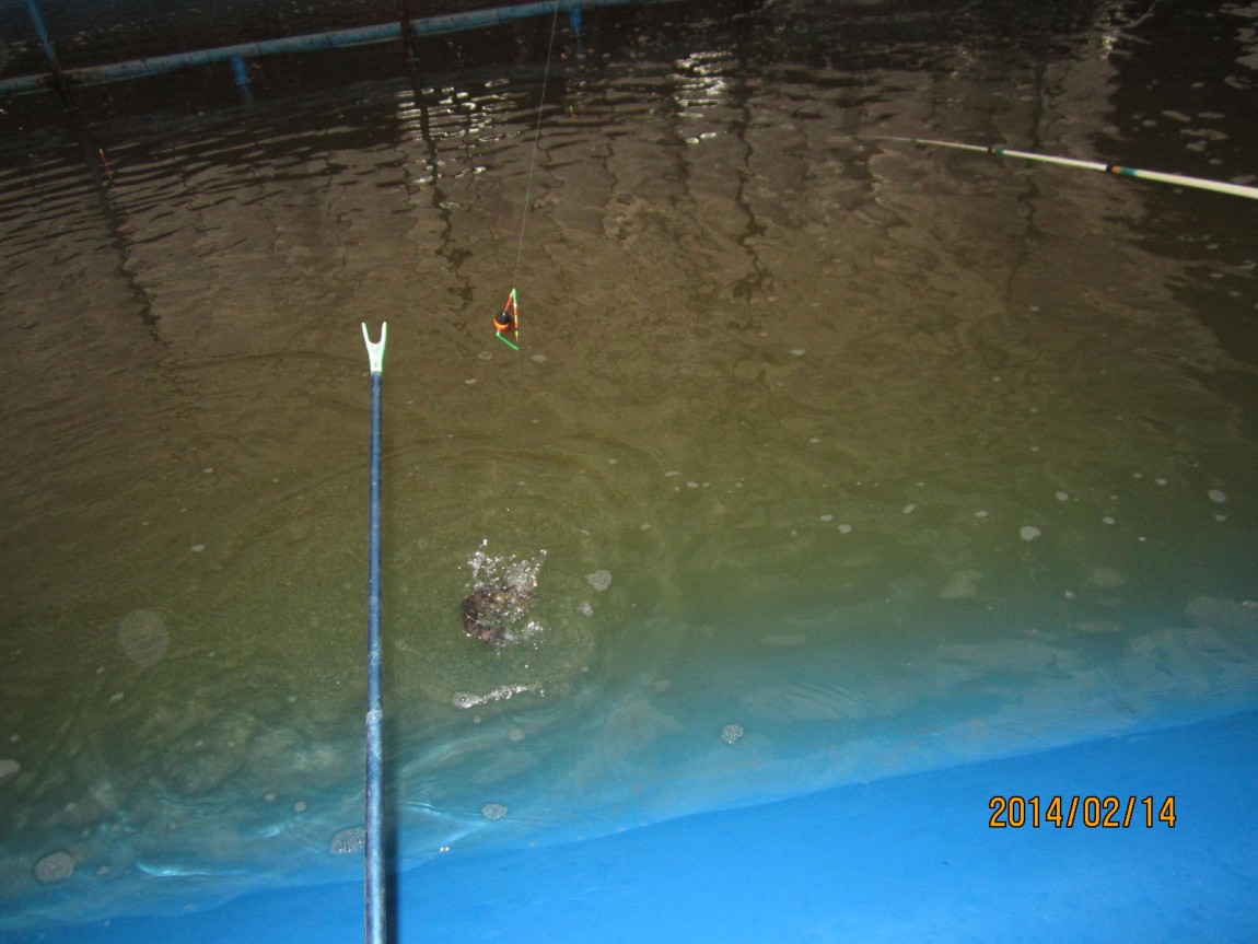 IMG_7858.JPG