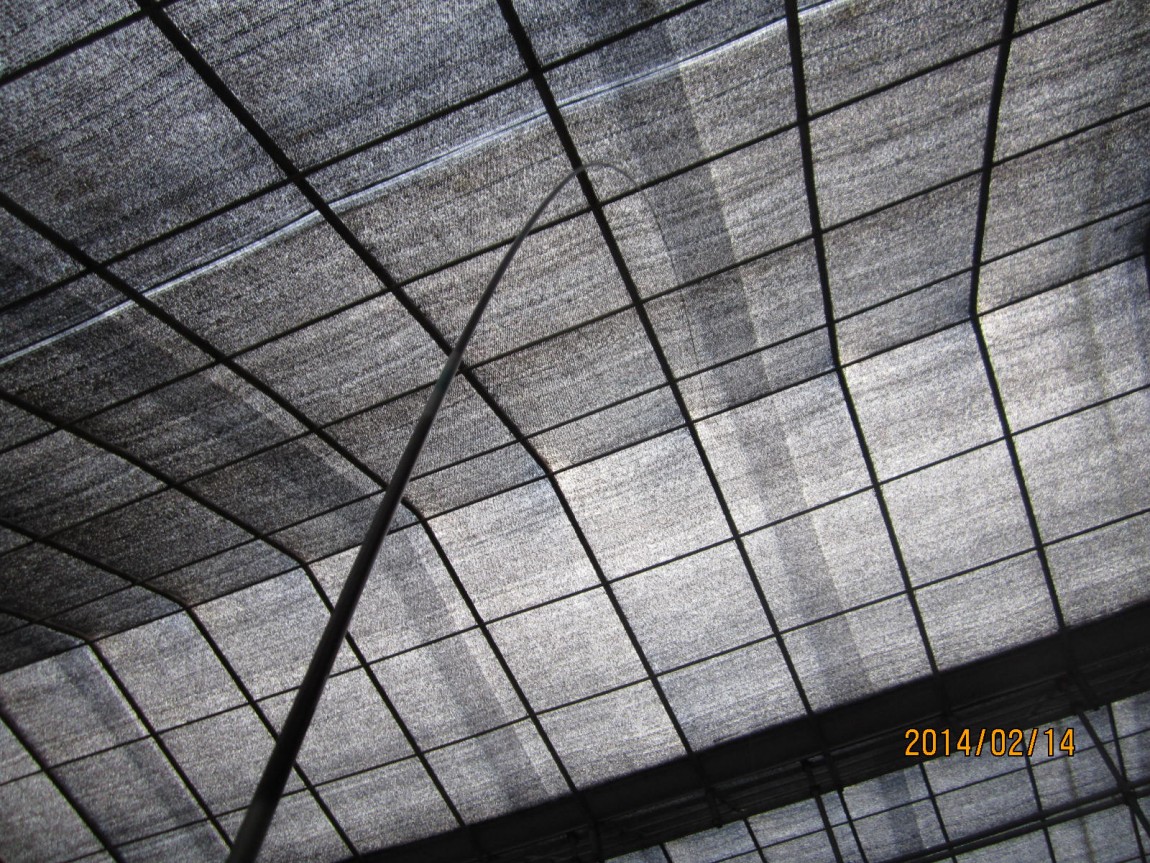 IMG_7894.JPG