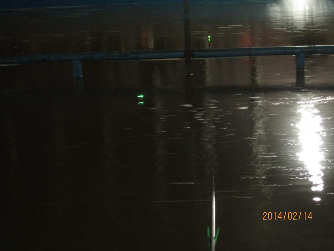 IMG_7970.JPG