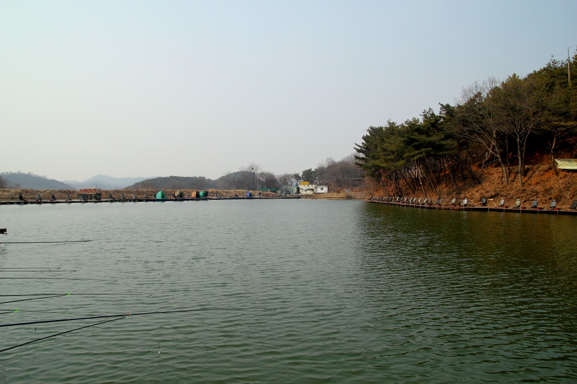 11.JPG