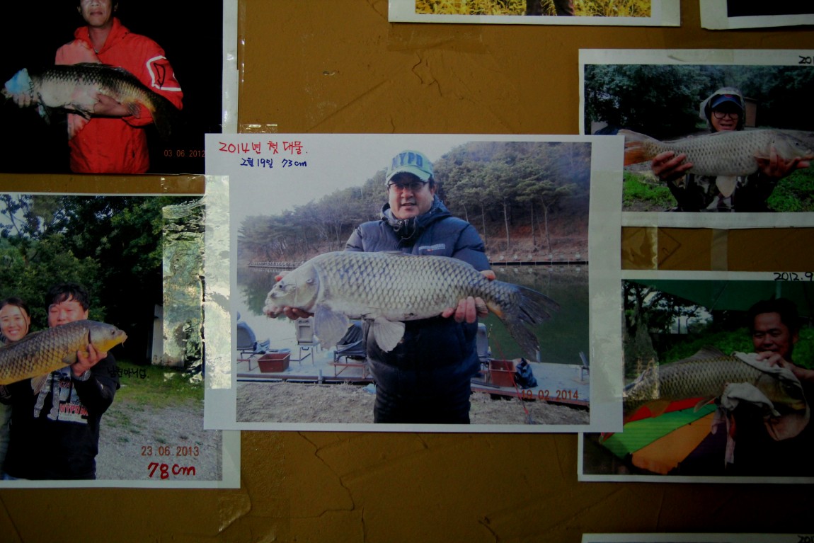 37.JPG