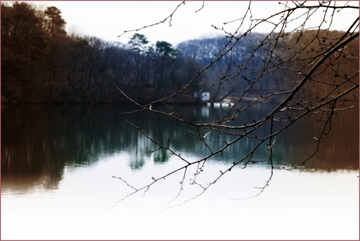 IMG_6786.jpg