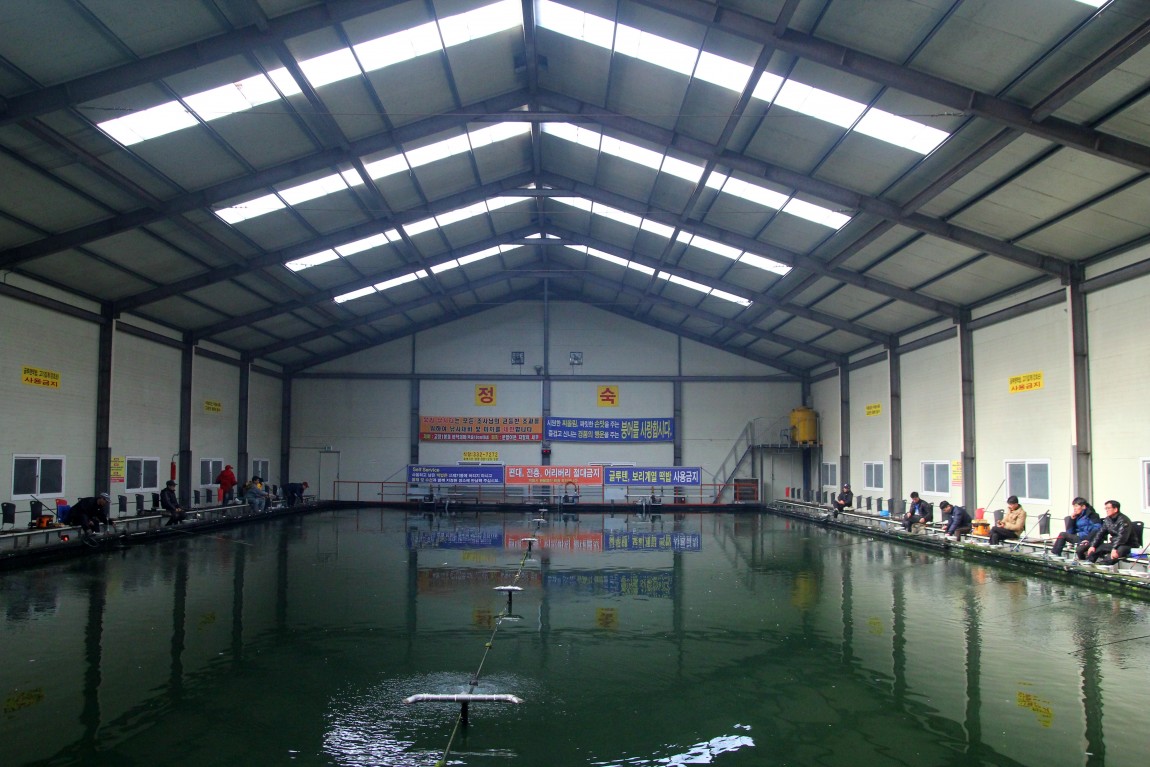 14.JPG