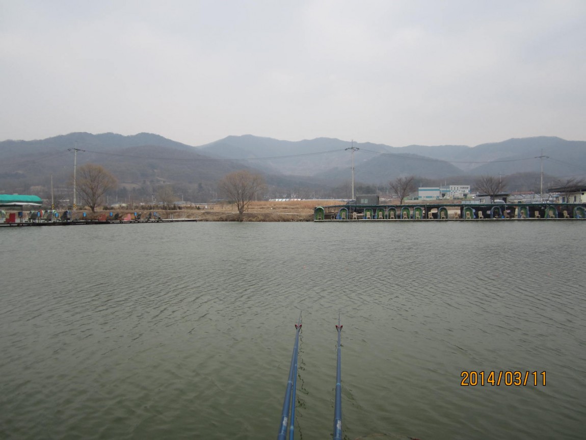 IMG_8439.JPG