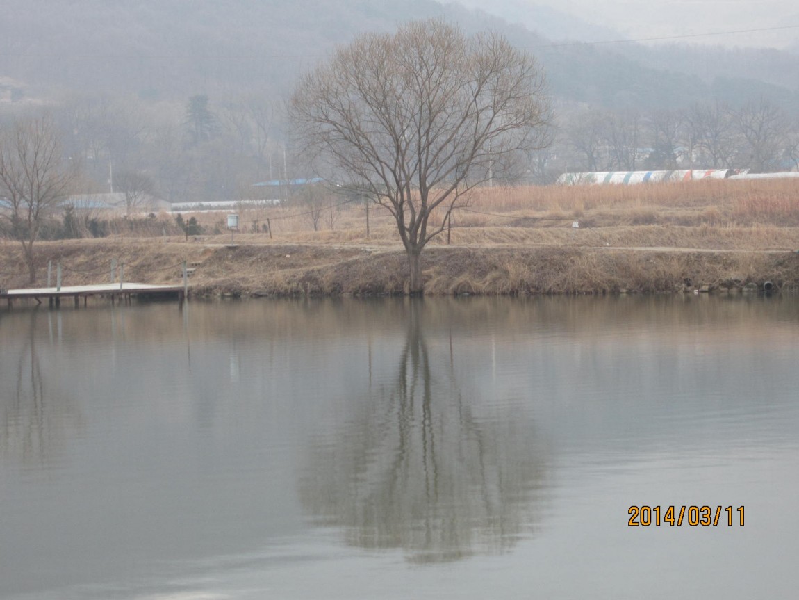 IMG_8452.JPG
