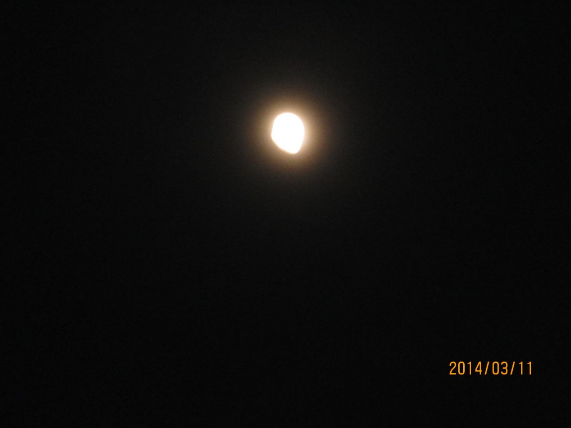 IMG_8457.JPG