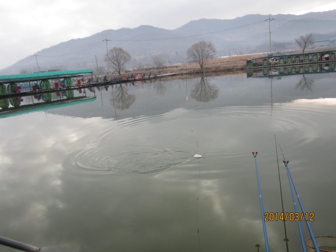 IMG_8479.JPG