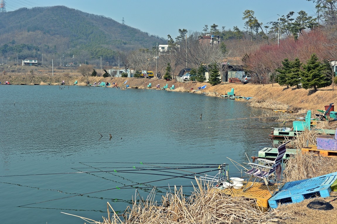 츄릅 > 고삼 소로리낚시펜션을 소개합니다^^ : 낚시사랑