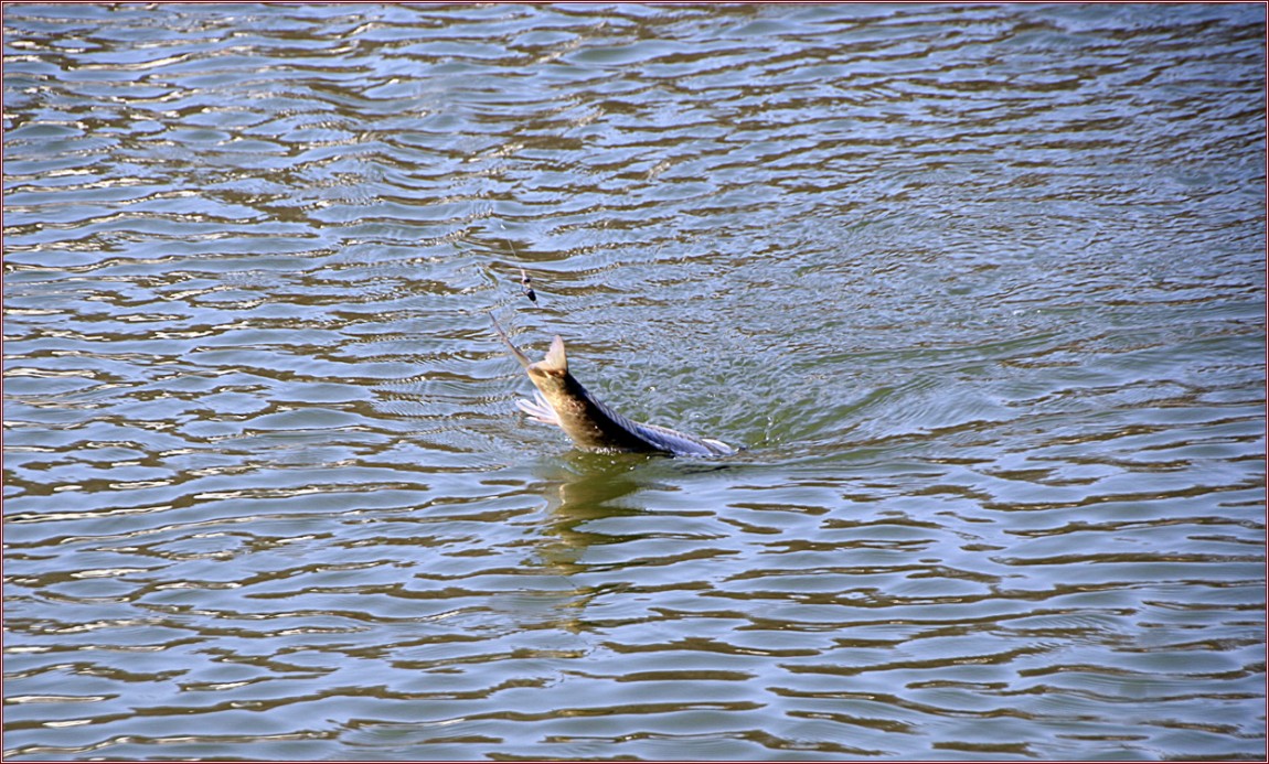 IMG_7013.jpg