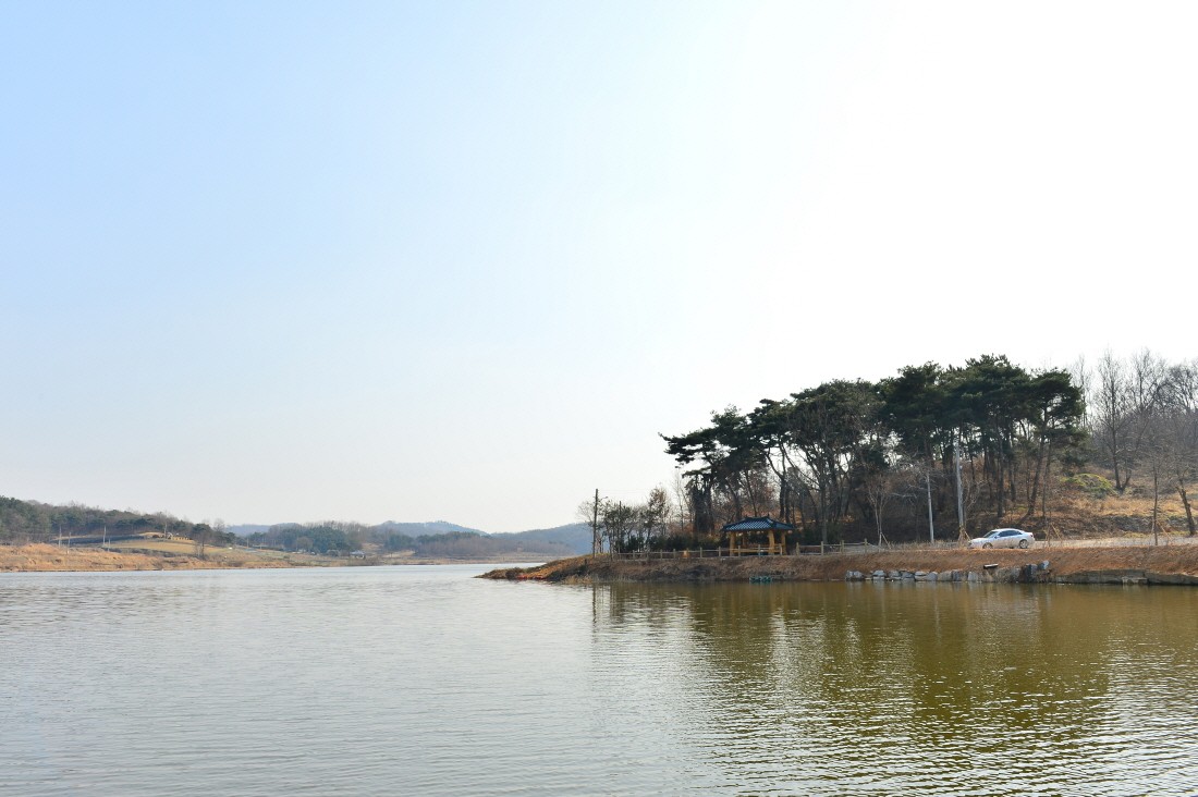 44.JPG
