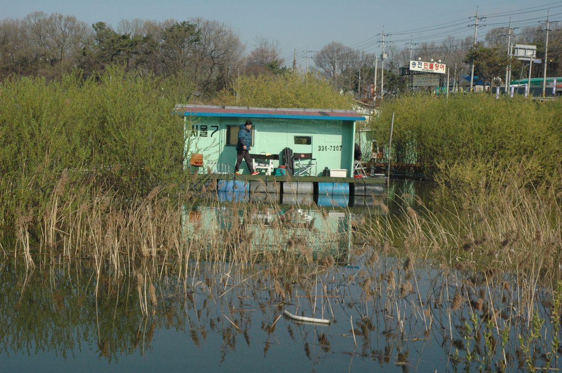 DSC_3690.JPG