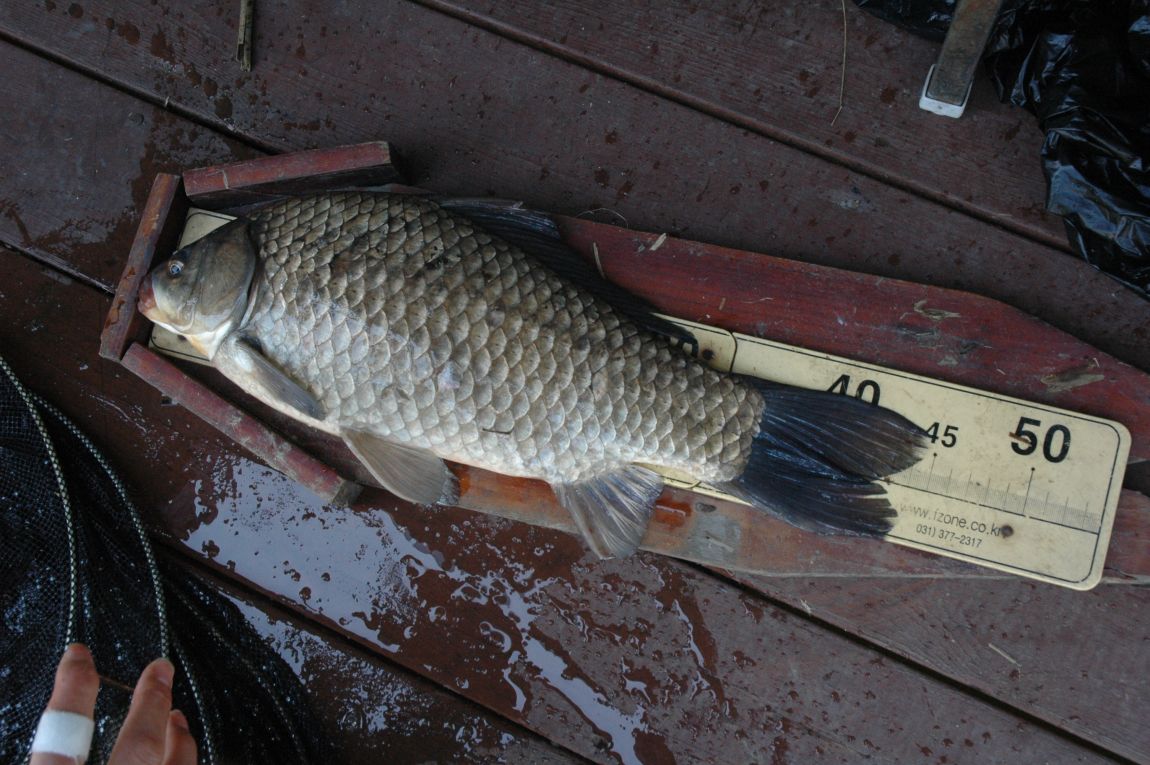 DSC_3704.JPG