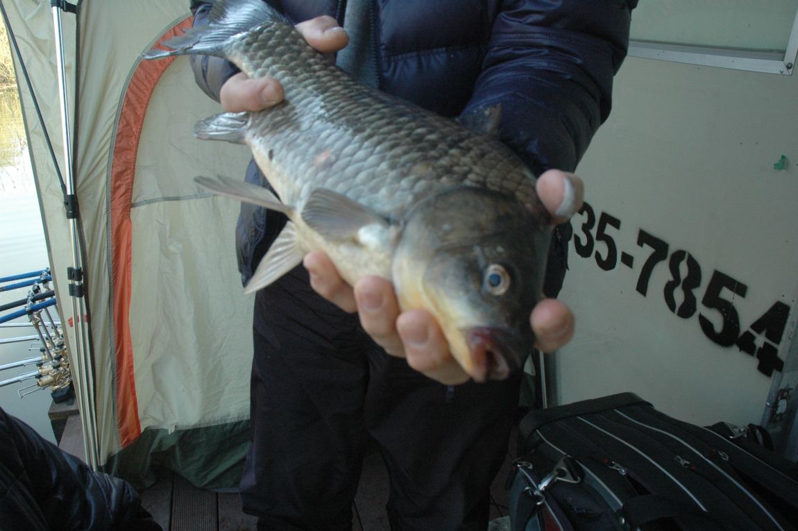 DSC_3717.JPG