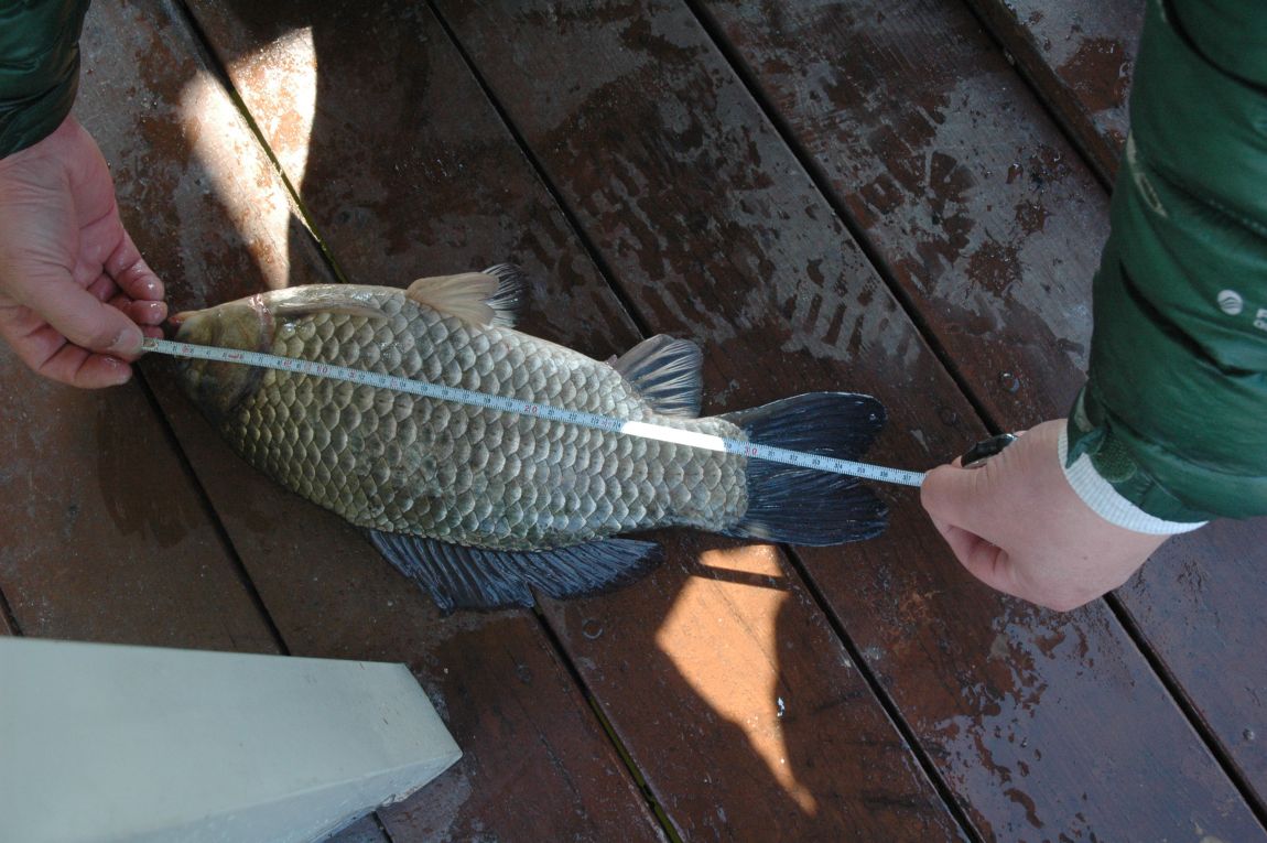 DSC_3755.JPG