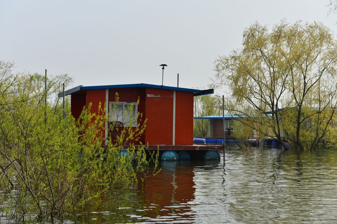 17.JPG