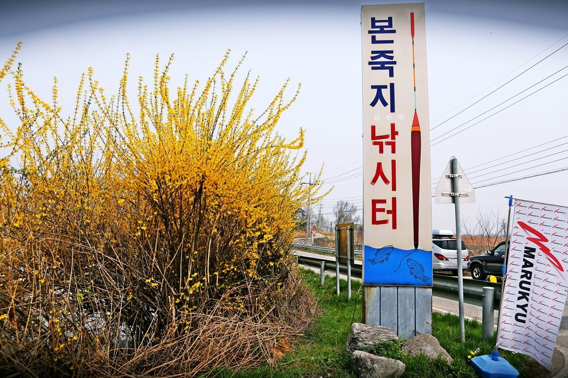 3A6A0321.JPG