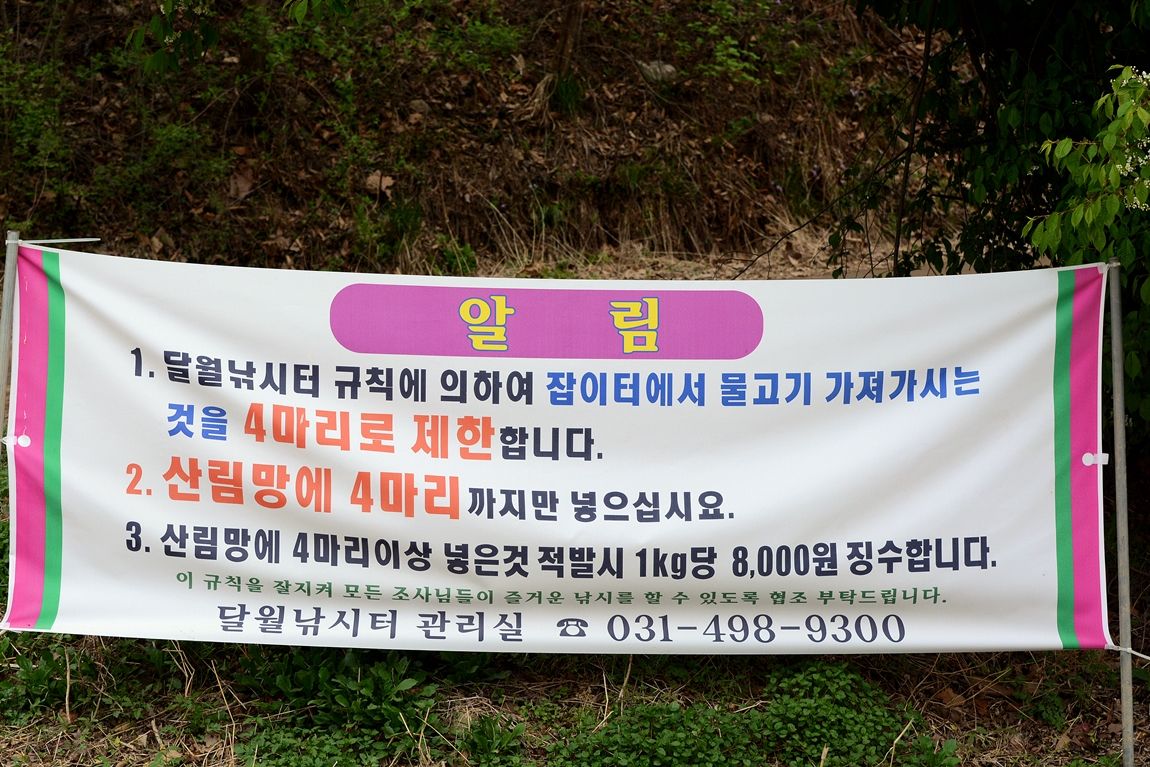 19.5.JPG