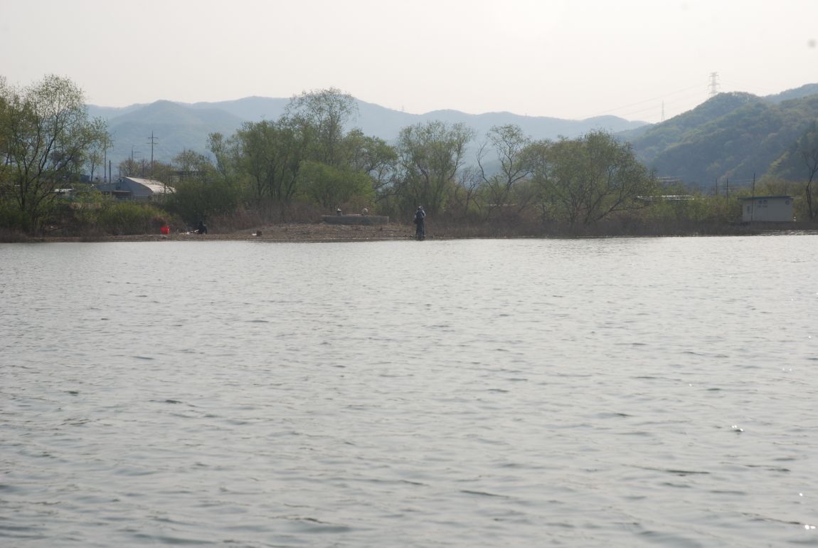 DSC_8633.JPG