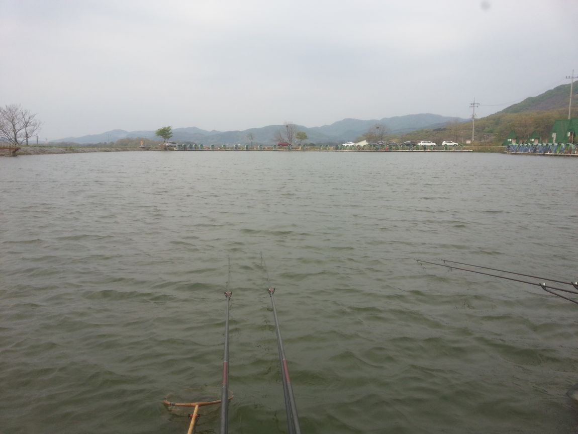 20140419_172216.jpg