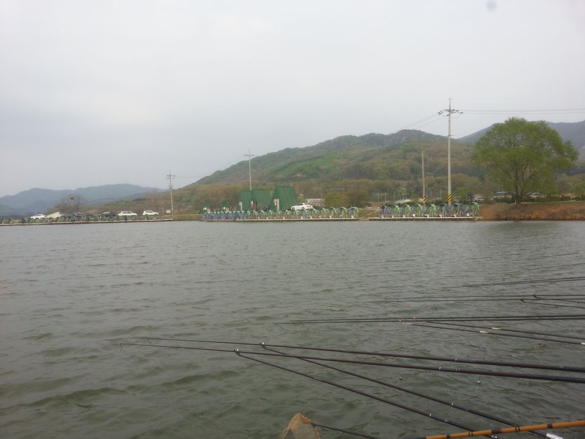 20140419_172220.jpg