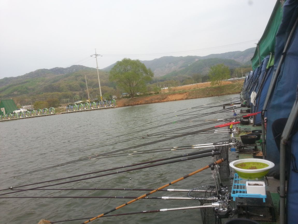 20140419_172225.jpg