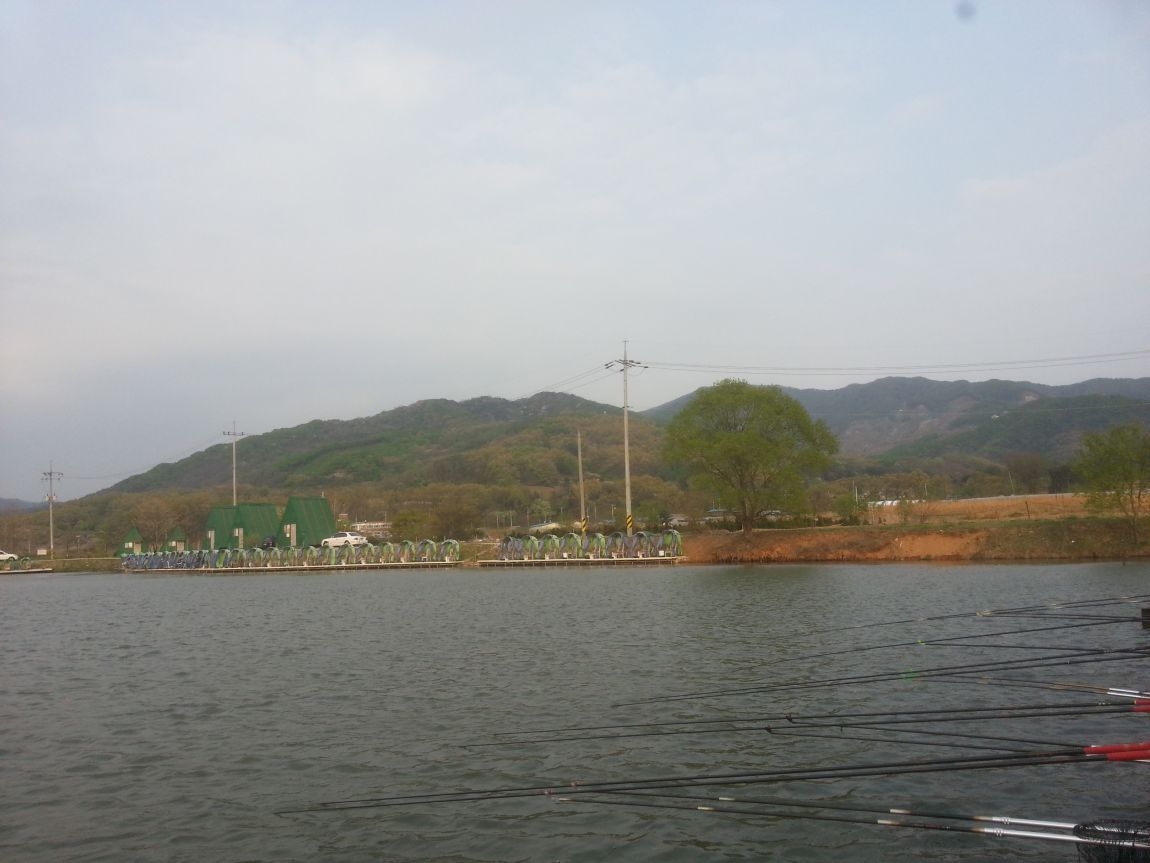 20140419_174239.jpg