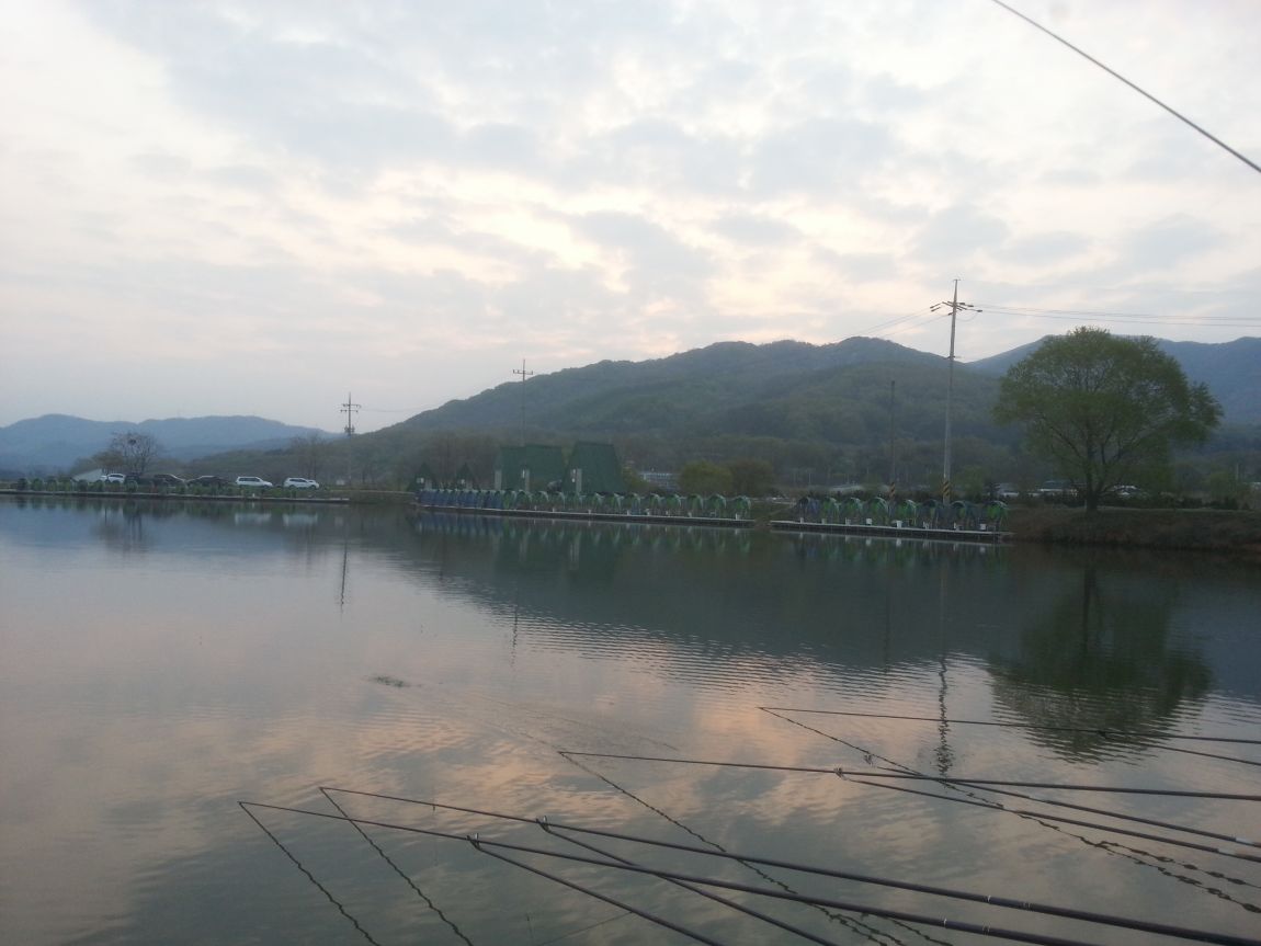 20140420_060725.jpg