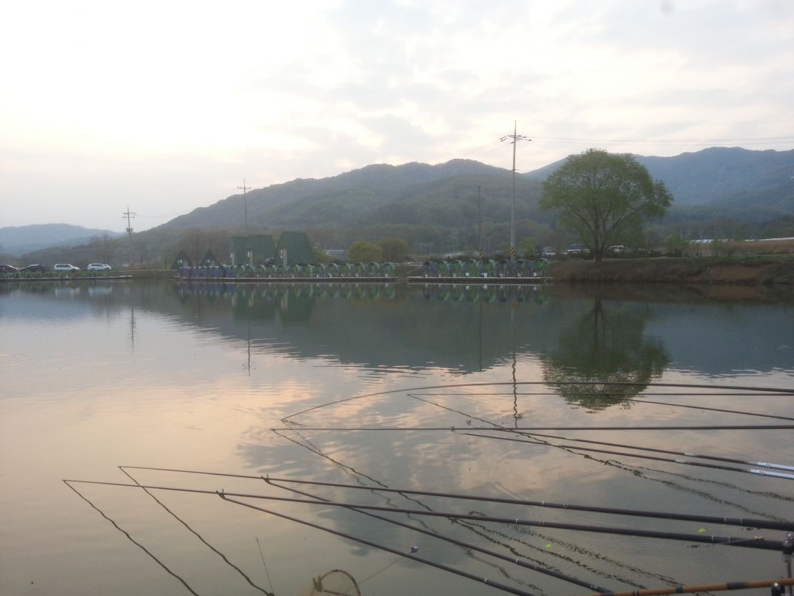 20140420_061520.jpg