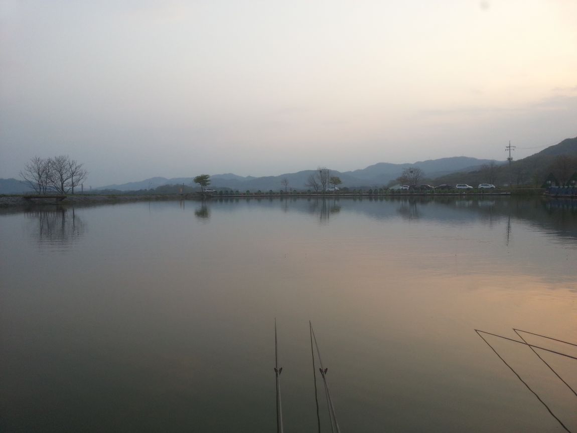 20140420_061525.jpg
