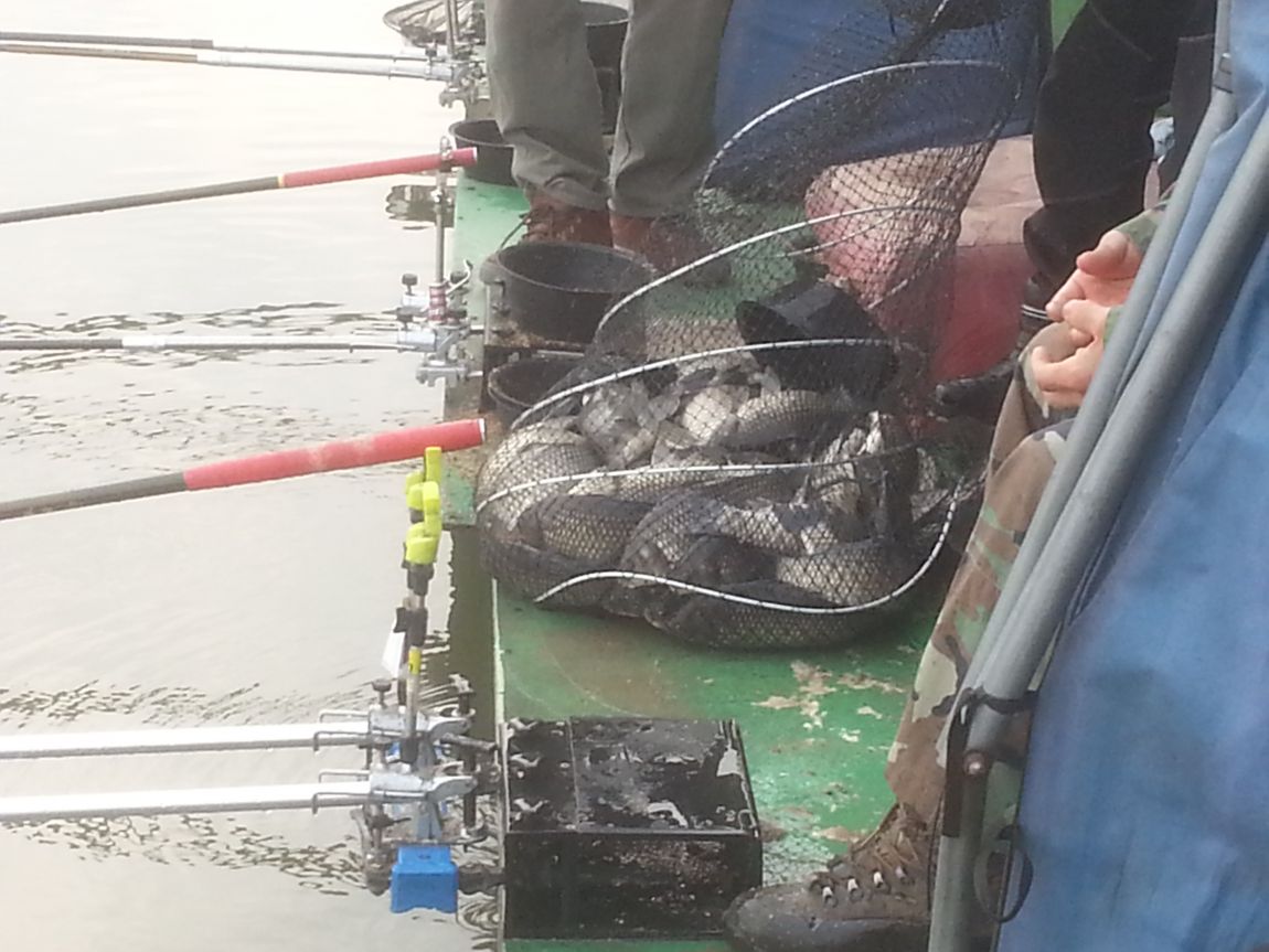20140420_074440.jpg