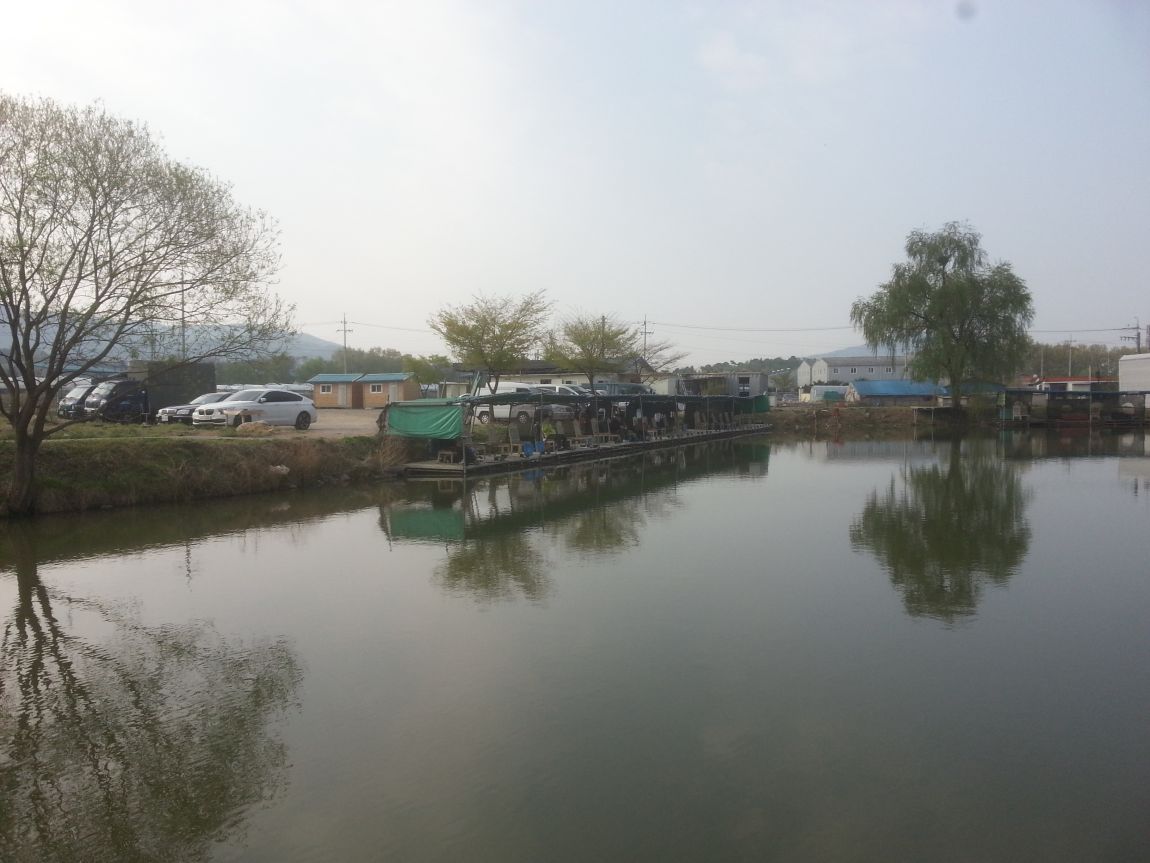20140420_081948.jpg